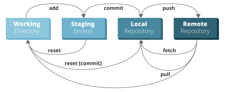 Git Workflow